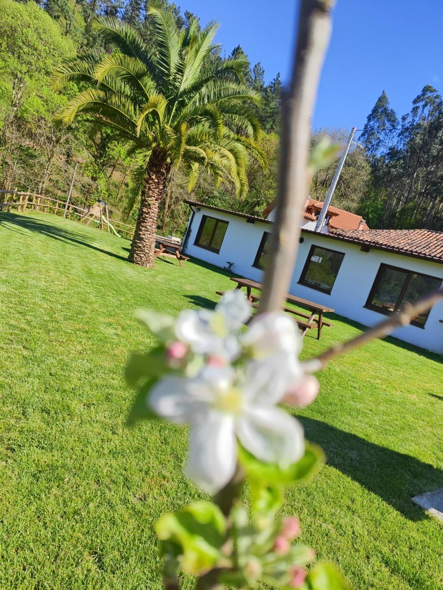 Reguero Gato Turismo Rural Candamin Dış mekan fotoğraf