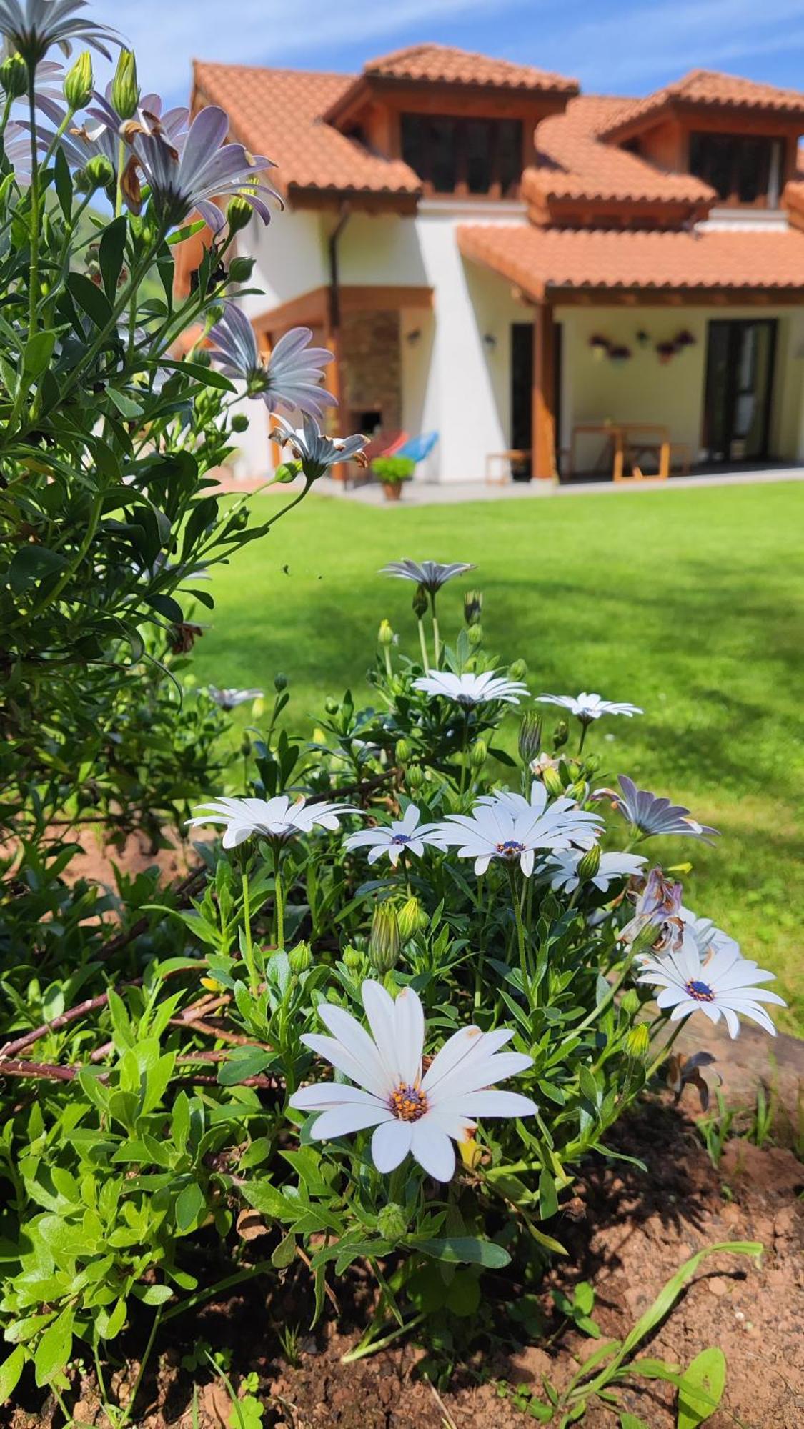 Reguero Gato Turismo Rural Candamin Dış mekan fotoğraf